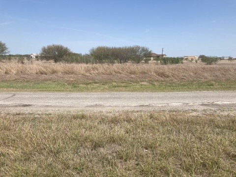 355 County Road 354 Orange Grove TX 78372