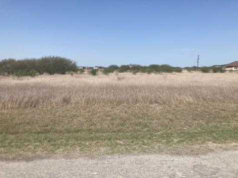 355 County Road 354 Orange Grove TX 78372