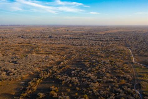22364 Private Road 1080 Mathis TX 78368