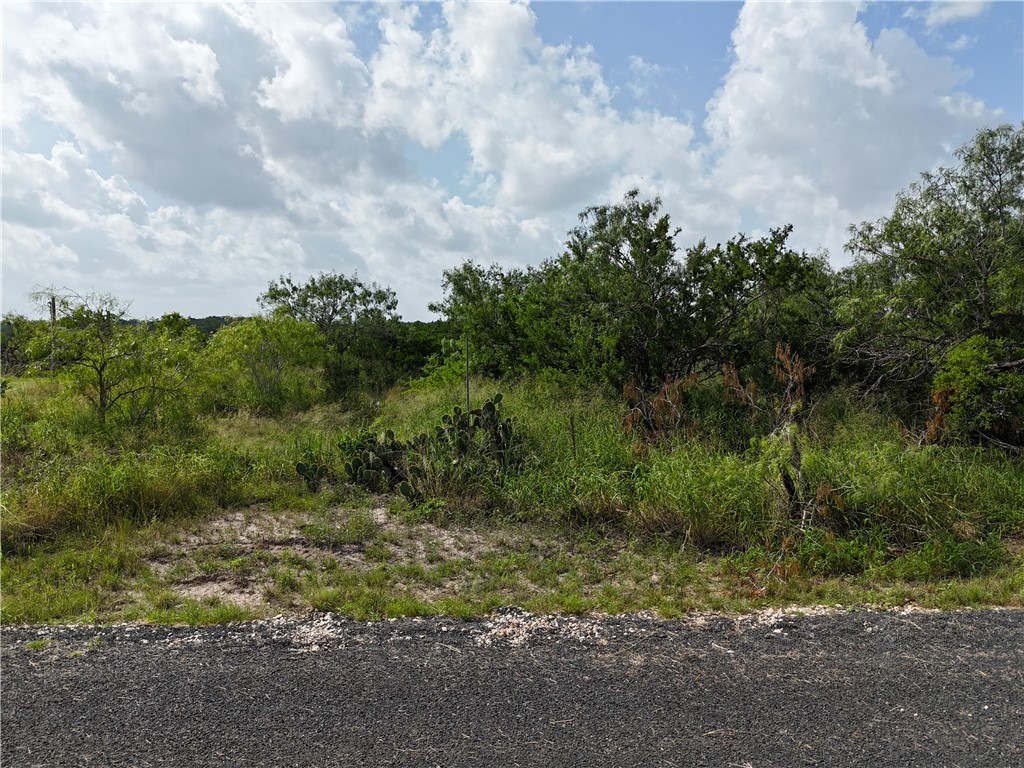 106 & 108 Navaho Sandia TX 78383