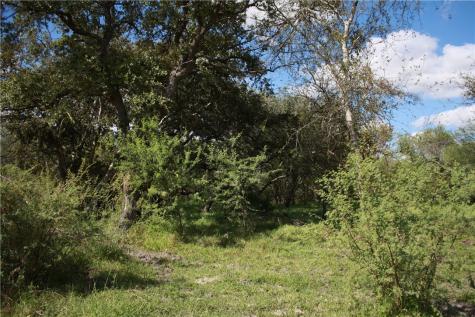 Tbd County Road 1144 Sinton TX 78387