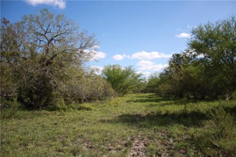 Tbd County Road 1144 Sinton TX 78387