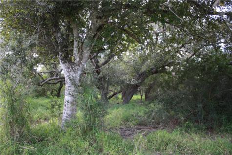 Tbd County Road 1144 Sinton TX 78387