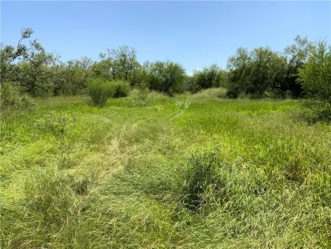 Tbd County Road 1144 Sinton TX 78387