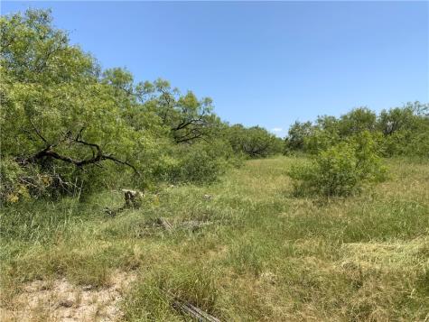 Tbd County Road 1144 Sinton TX 78387