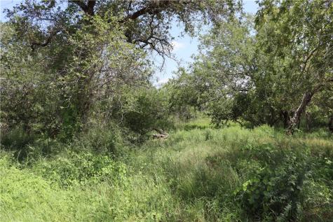 Tbd County Road 1144 Sinton TX 78387