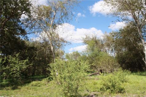 Tbd County Road 1144 Sinton TX 78387
