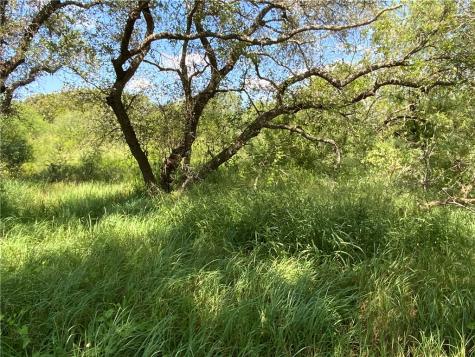 Tbd County Road 1144 Sinton TX 78387