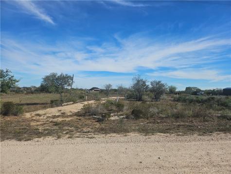 18 County Road 1431 Alice TX 78332