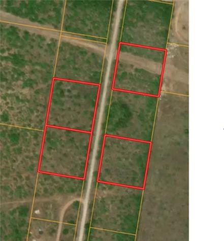 18 County Road 1431 Alice TX 78332