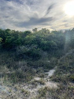 131 Mcpherson Road Rockport TX 78382