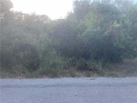 Lot 2 S 12th Street Aransas Pass TX 78336