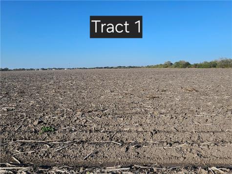 Tract 1 W Escondido Road Kingsville TX 78363