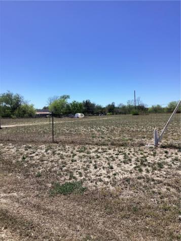 930 Cty Road 407 Freer TX 78357