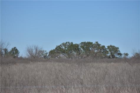 Track 24 Jackson Road Refugio TX 78377
