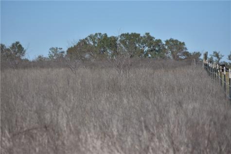 Track 24 Jackson Road Refugio TX 78377