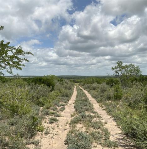 0 Private Road San Diego TX 78384