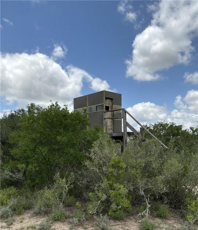 0 Private Road San Diego TX 78384