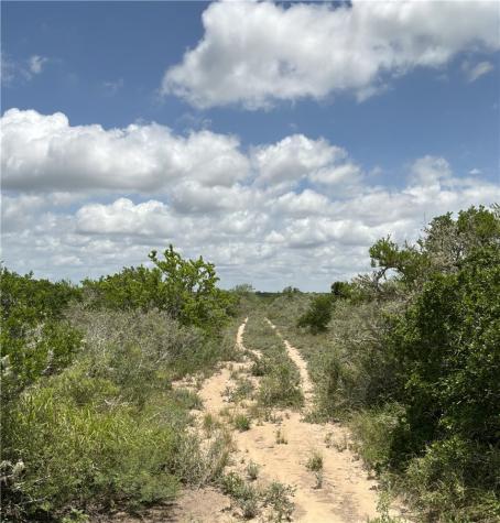 0 Private Road San Diego TX 78384
