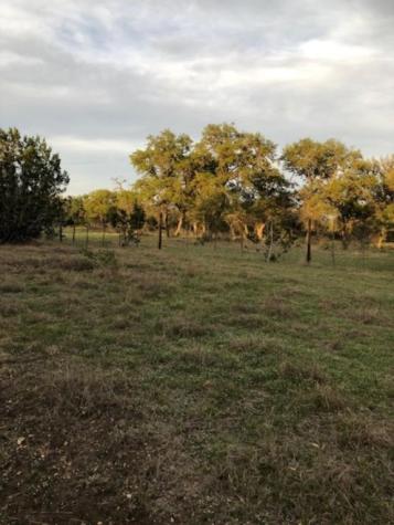 40 Ef Whitetail Run Uvalde TX 78801