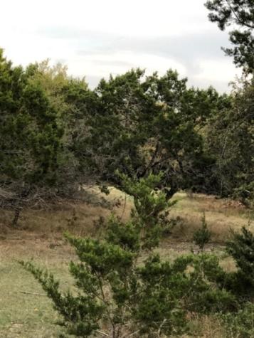 40 Ef Whitetail Run Uvalde TX 78801