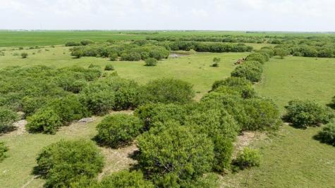 000 Gin Road Bayside TX 78340