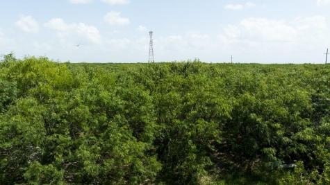 000 Gin Road Bayside TX 78340