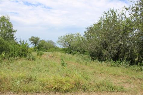 00 Lot 6 Vista Fina Drive Sandia TX 78383