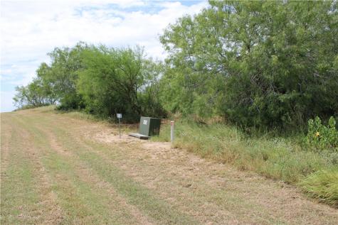 00 Lot 6 Vista Fina Drive Sandia TX 78383