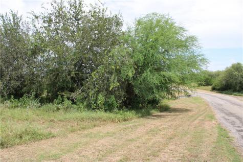 00 Lot 6 Vista Fina Drive Sandia TX 78383