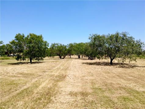 Lot 10 Nakishwana Circle Sandia TX 78383