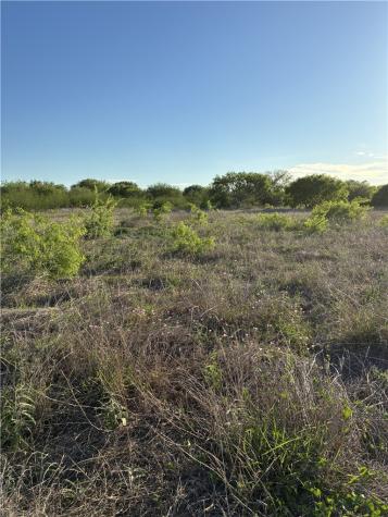 13029 County Road 1266 & 2567 Sinton TX 78387