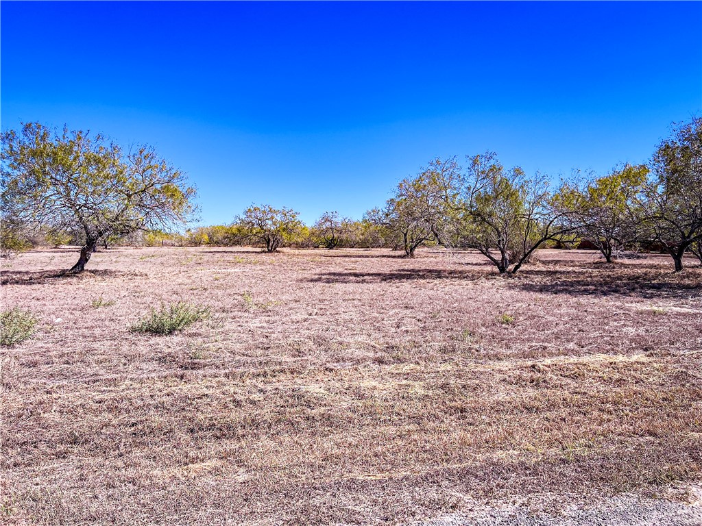 Lot 10 Fm 3376 Alice TX 78332