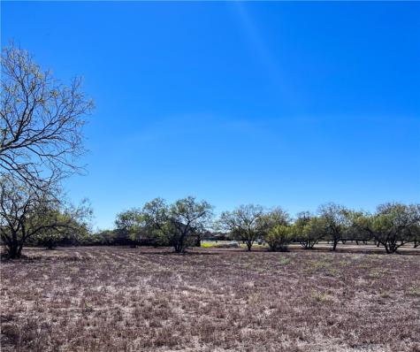 Lot 10 Fm 3376 Alice TX 78332