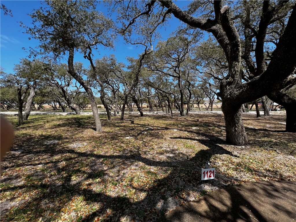 1121 Acorn Drive Fulton TX 78358
