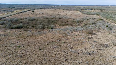 124 County Road 164 George West TX 78022
