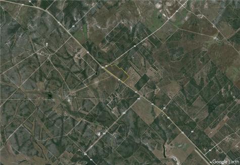 124 County Road 164 George West TX 78022