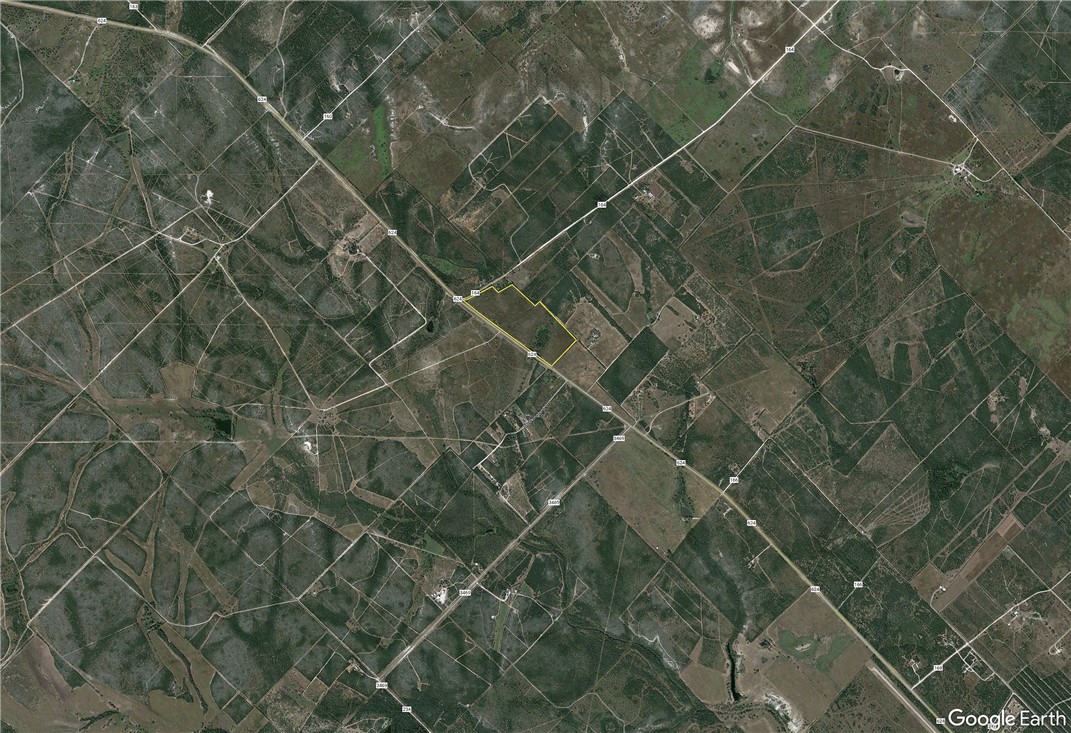 124 County Road 164 George West TX 78022