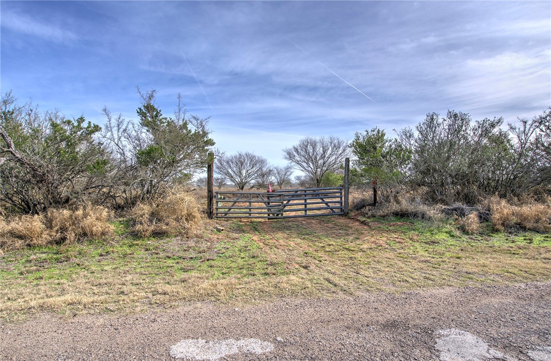 124 County Road 164 George West TX 78022