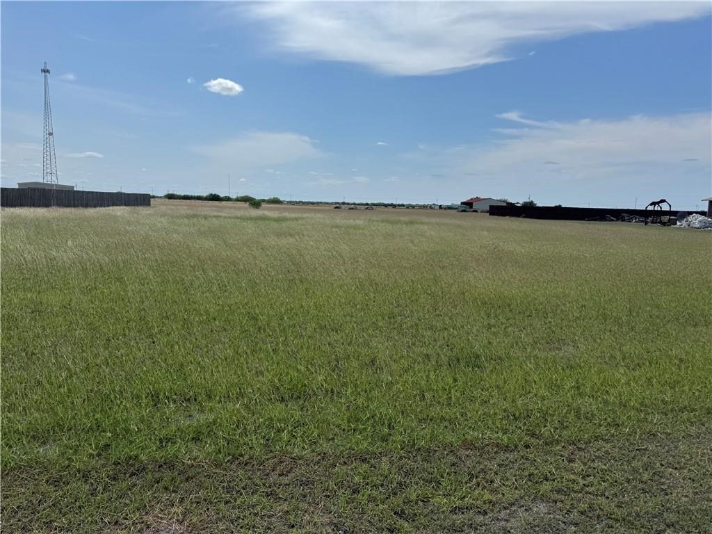 0000 Anaqua Drive Orange Grove TX 78372