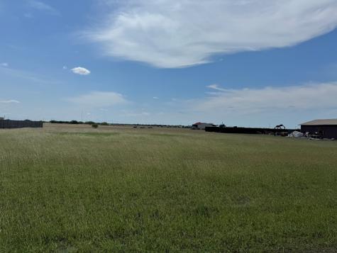0000 Anaqua Drive Orange Grove TX 78372