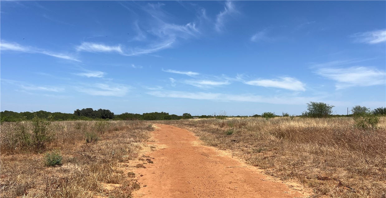 Tbd County Road 430 Pleasanton TX 78064