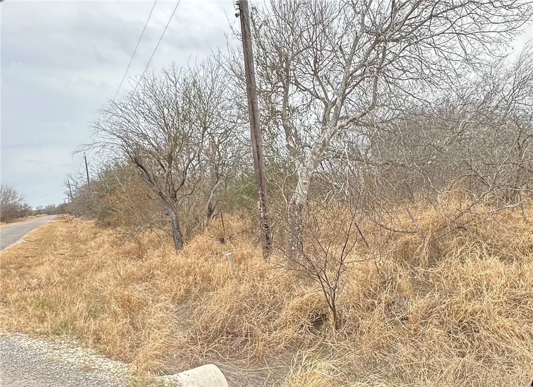 71491/2 County Road 2379 Sinton TX 78387