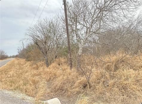 71491/2 County Road 2379 Sinton TX 78387