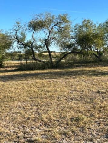 Lot 31 Nakishwana Circle Vii Sandia TX 78383