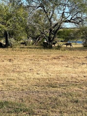 Lot 31 Nakishwana Circle Vii Sandia TX 78383