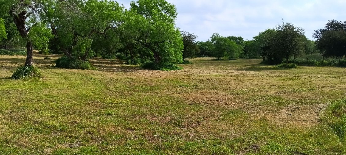 5333 Avenue A Corpus Christi TX 78410