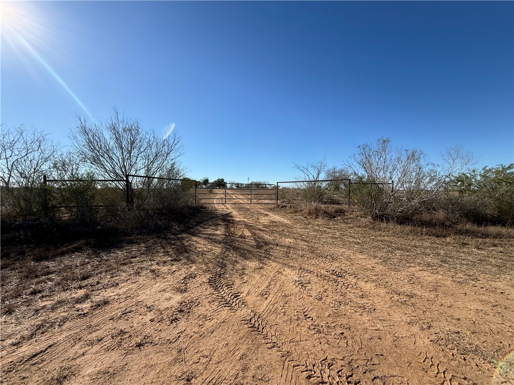 Tba County Road 440 Alice TX 78332
