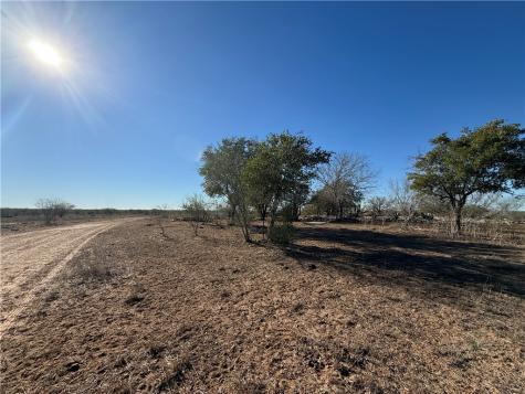 Tba County Road 440 Alice TX 78332