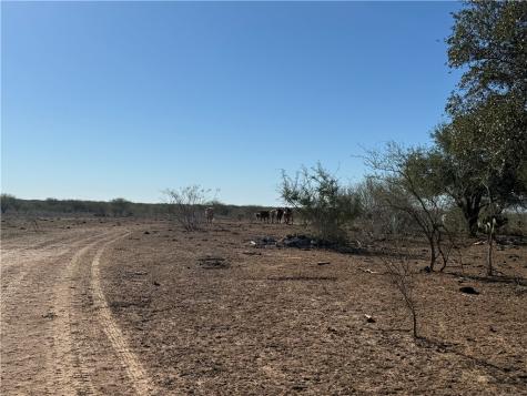 Tba County Road 440 Alice TX 78332